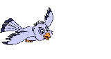 BIRD02