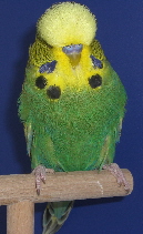 a_CIMG5224