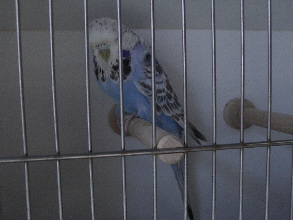 CIMG5059