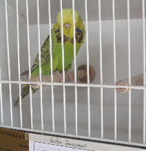 CIMG5067