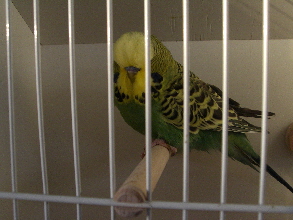 CIMG5093